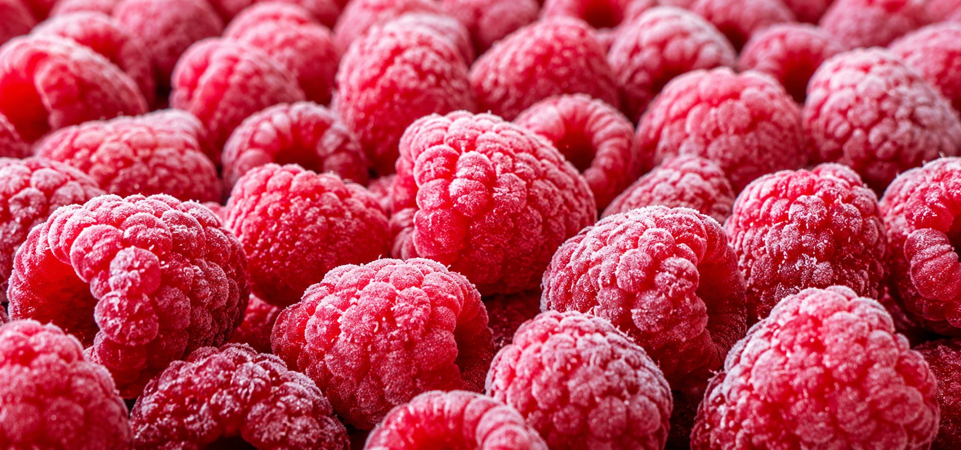 Wholesale IQF frozen raspberries — Haba Foods