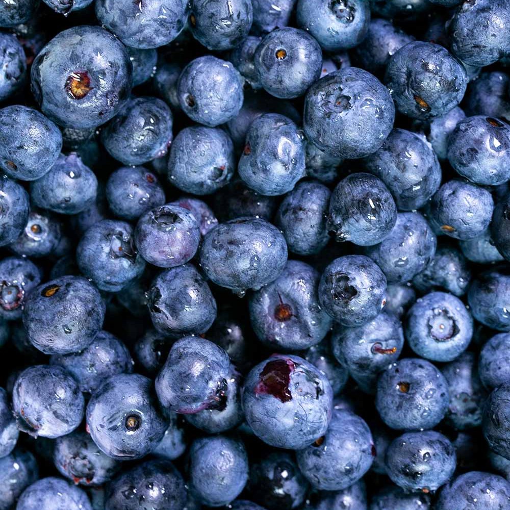 Frozen blueberries, IQF
